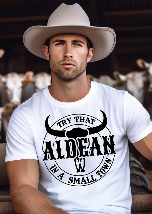 Try This in a Small Town T-shirt featuring country-style Western graphic design, perfect for rural living, small town pride, and country music fans.